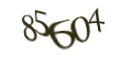 Введите код с изображения