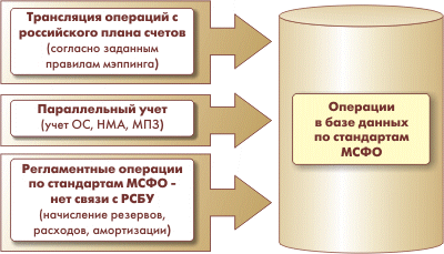 msho1